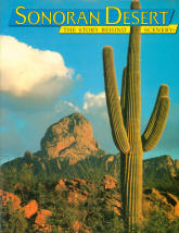 SONORAN DESERT: the story behind the scenery (AZ/CA). 